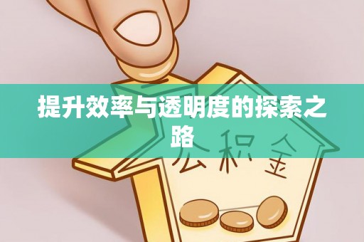 汝城提升效率与透明度的探索之路