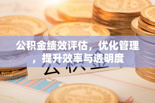 汝城公积金绩效评估，优化管理，提升效率与透明度