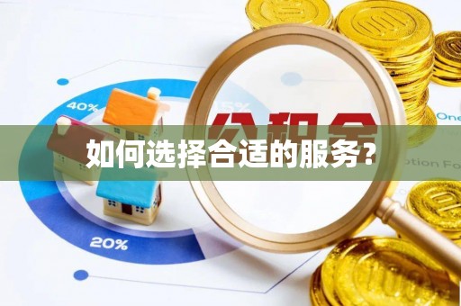 汝城如何选择合适的服务？
