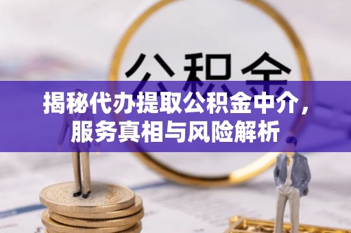 汝城揭秘代办提取公积金中介，服务真相与风险解析