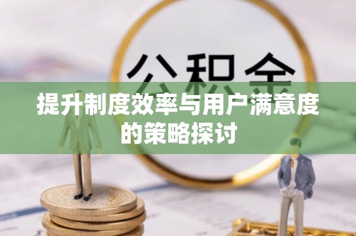 汝城提升制度效率与用户满意度的策略探讨
